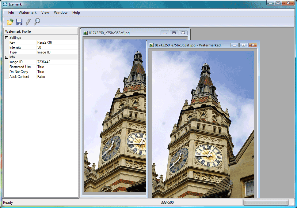 Icemark - software for adding invisible watermarks. Main windows - adding digital watermarks